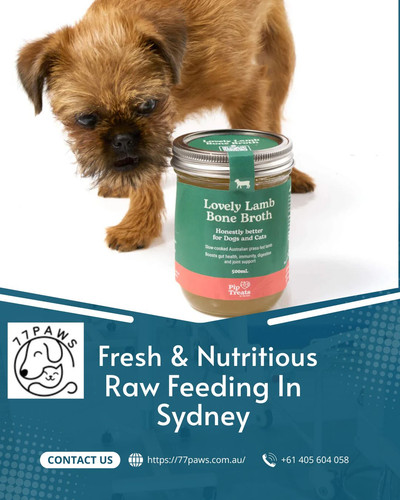 Fresh & Nutritious Raw Feeding In Sydney.jpg