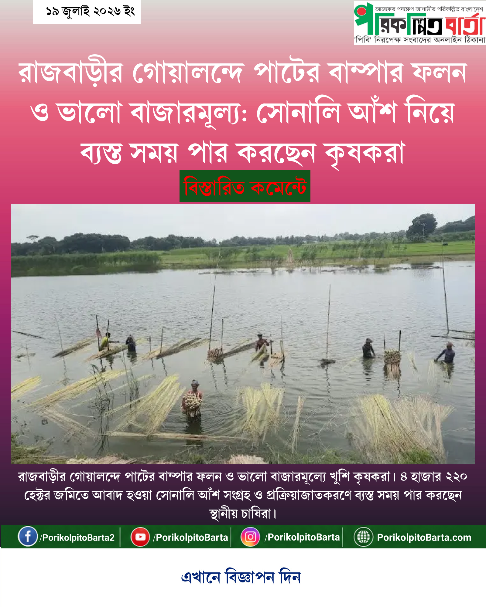 রাজবাড়ীর গোয়ালন্দে পাটের বাম্পার ফলন ও ভালো বাজারমূল্য: সোনালি আঁশ নিয়ে ব্যস্ত সময় পার করছেন কৃষকরা