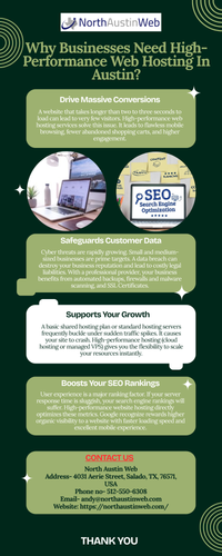 Why Businesses Need High-Performance Web Hosting In Austin.png