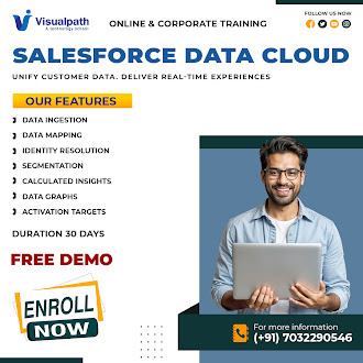 Salesforce Data Cloud Classes | Live Online Training.jpg