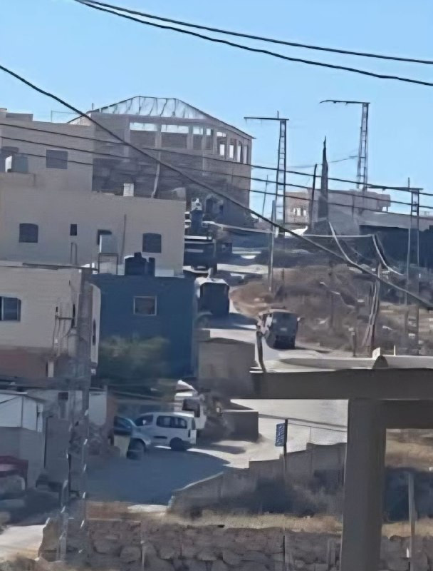 صورة الخبر