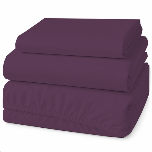 PLUM 10.1