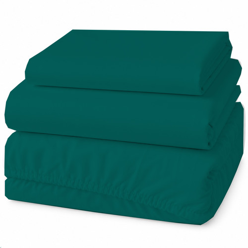 TEAL 10.1