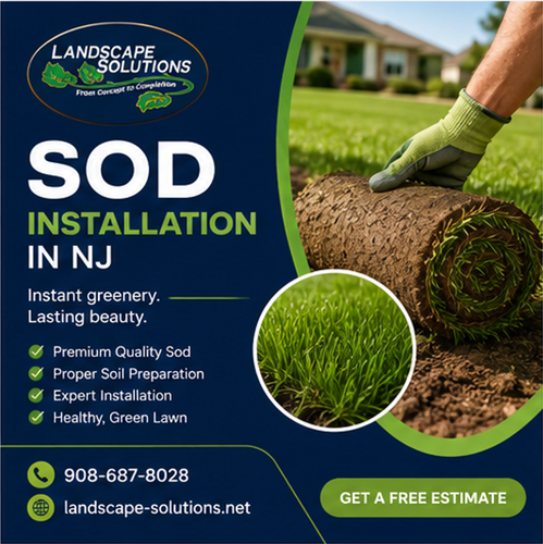 Sod Installation in NJ.png
