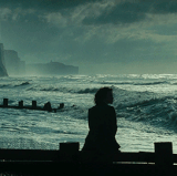 bd5f0b0d969610ba21d8a46c2a06c576.gif