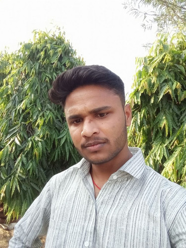 file 1381.jpg