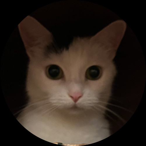 image.jpg