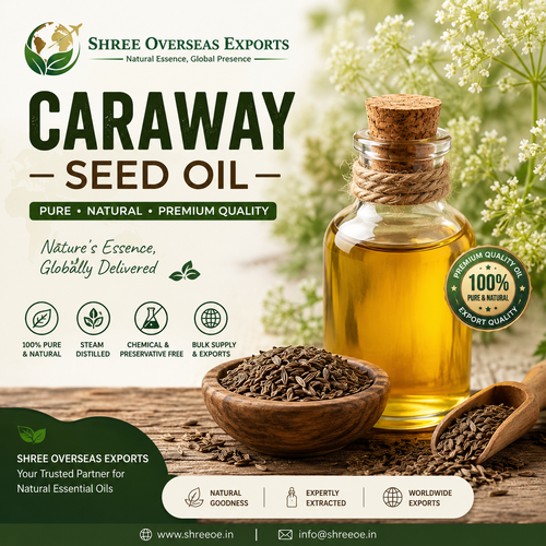 Private Label Caraway Seed Oil Manufacturer Premium Bulk Manufacturing & Export Solutions for Global.png