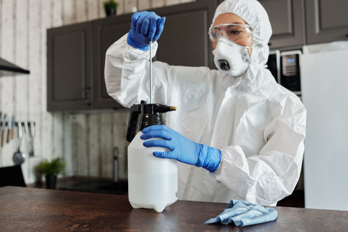 Rest Easy Pest Control | 1915 W Olney Ave, Philadelphia, PA 19141, United States | +12152762962 | ht.jpg