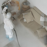 Rest Easy Pest Control | 1915 W Olney Ave, Philadelphia, PA 19141, United States | +12152762962 | ht