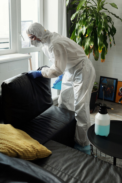 Rest Easy Pest Control | 1915 W Olney Ave, Philadelphia, PA 19141, United States | +12152762962 | ht.jpg