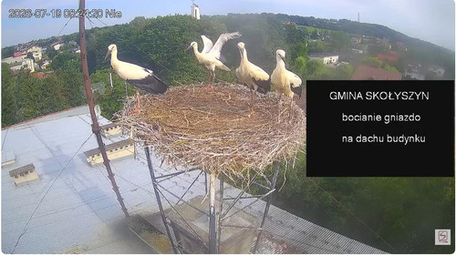 MWSnap030.jpg