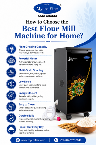 How to Choose the Best Flour Mill Machine for Home.png