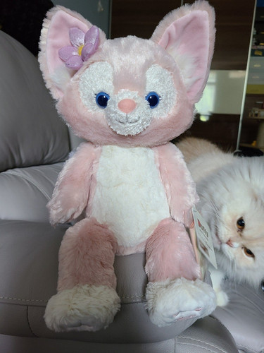 img 899ad307af0e.jpg