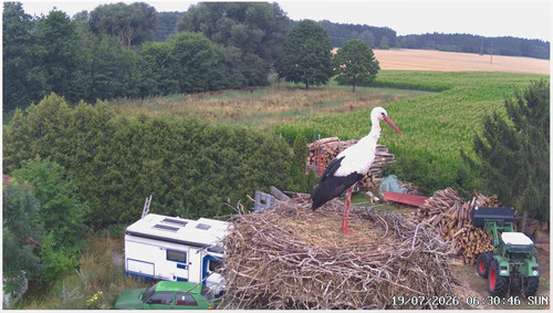 MWSnap805.jpg