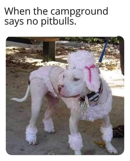 1000000456