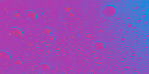 temp.png