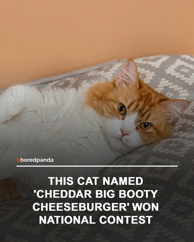 img facts (1).jpg