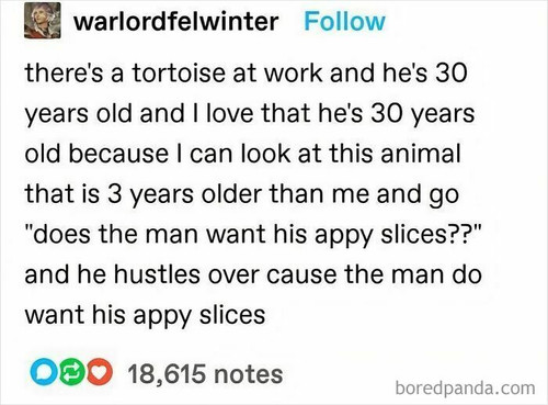 funny nerdy relatable memes.jpg