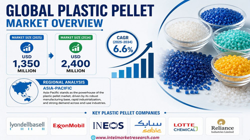 httpswww.24lifesciences.com 2026 07 17T121331.851.jpg