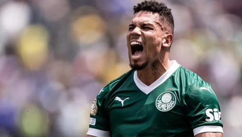Palmeiras PLAY Photoroom.png