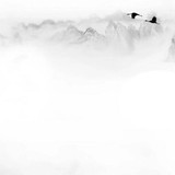 IMG 9046