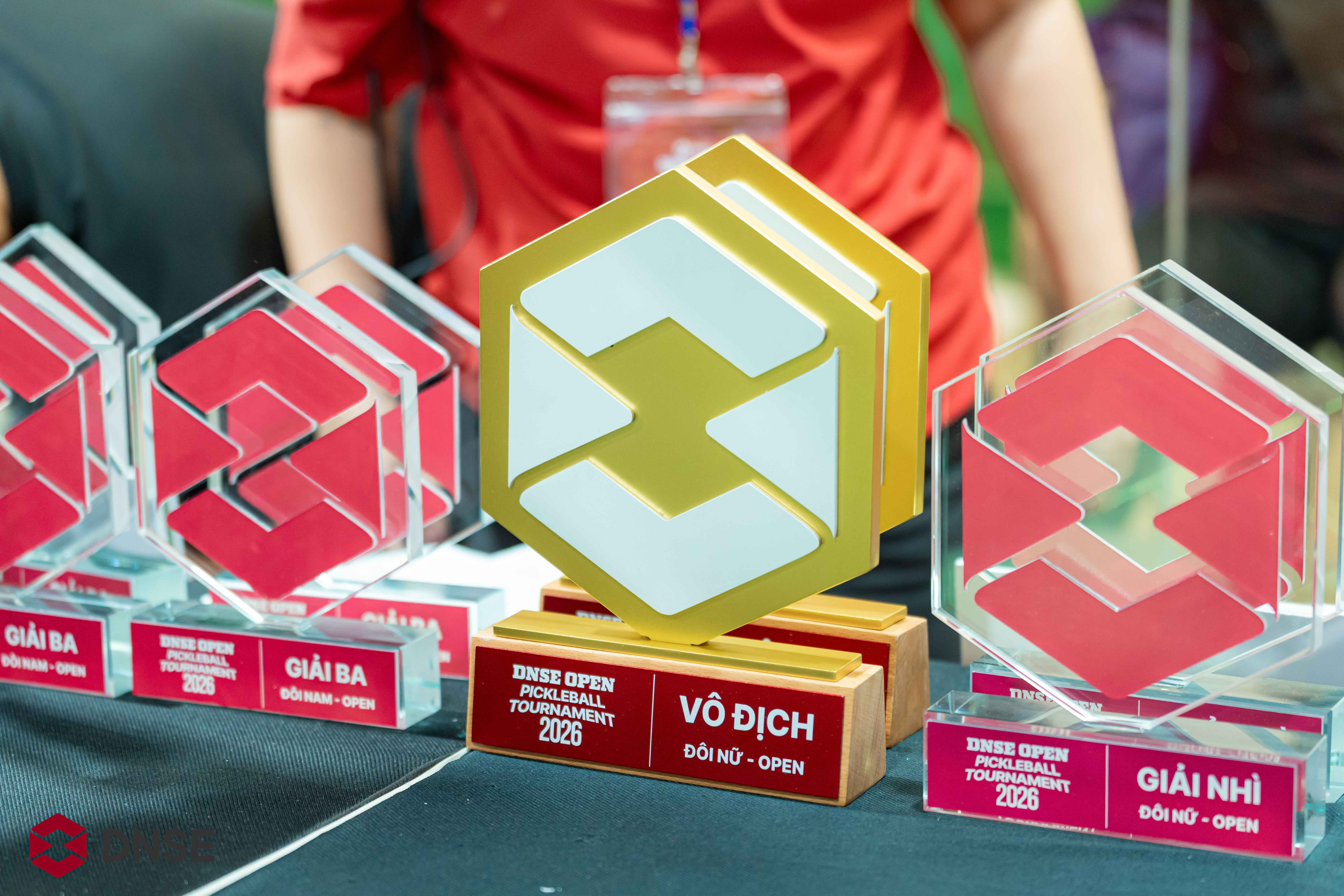 DNSE Open Pickleball Tournament 2026