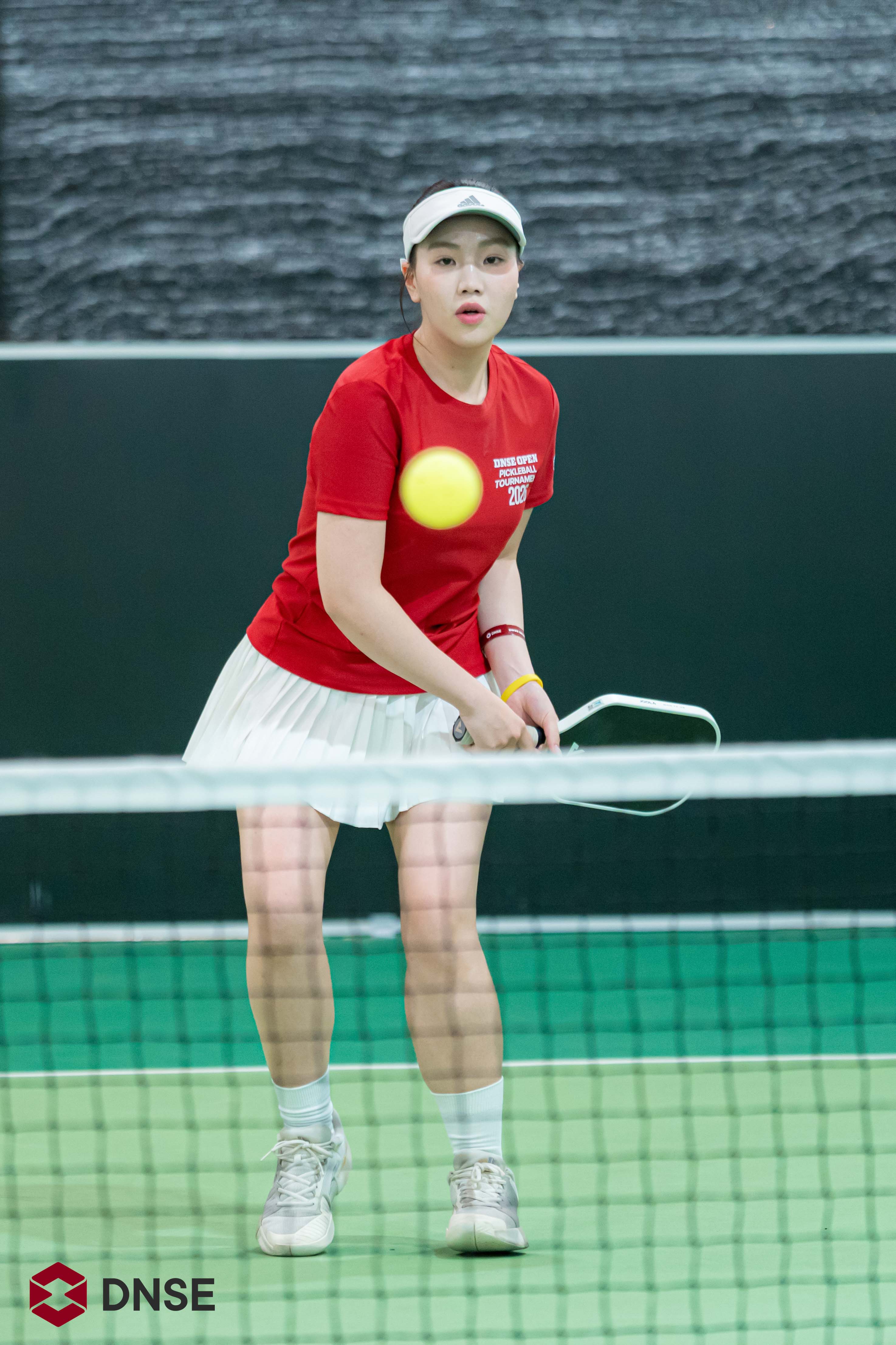 DNSE Open Pickleball Tournament 2026