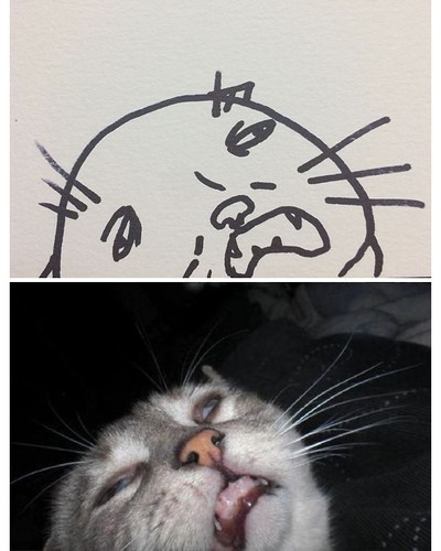 funny poorly drawn cats 3 59705e6a419cb 605 bordered.jpg