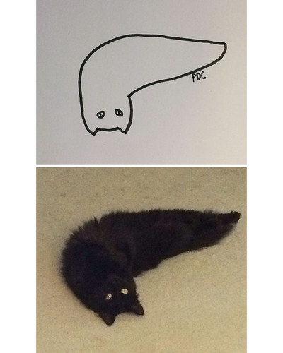 funny poorly drawn cats 25 59705e9ab69e5 605 bordered.jpg