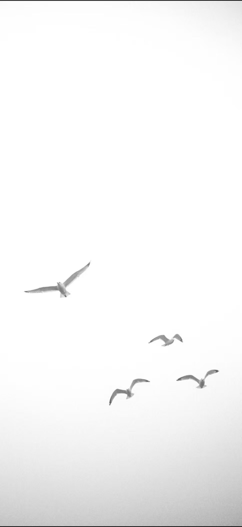 553d0086956737aa220164d6476e6e87.png