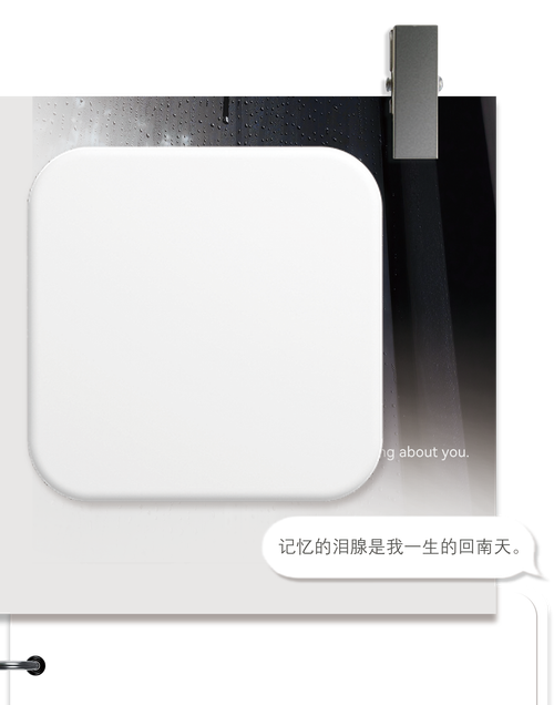 顶部.png