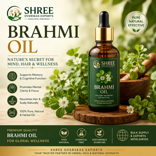 Private Label Brahmi Oil Manufacturer Premium Herbal Hair Oil Solutions for Global Brands.png