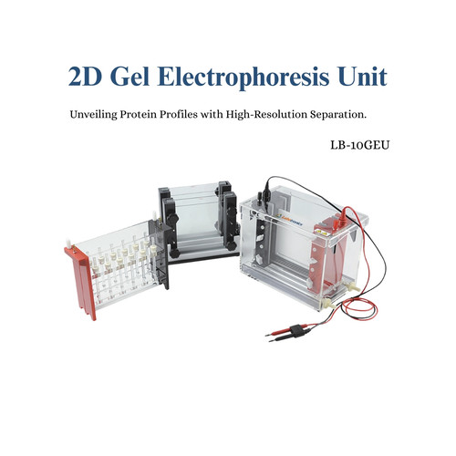 2D Gel Electrophoresis Unit LB 10GEU (1).jpg