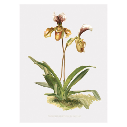 Untitled design (39).jpg