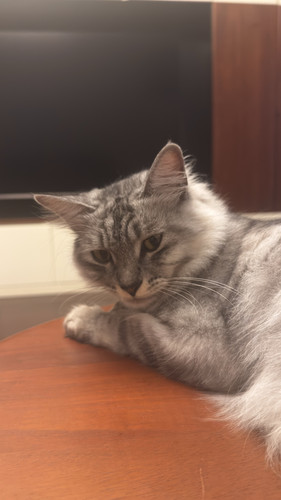 IMG 3328.jpg