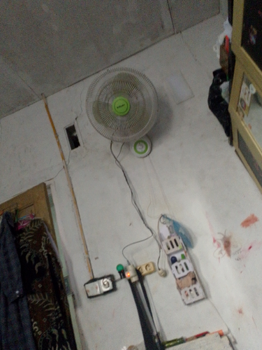 temp.png