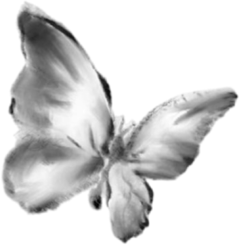 IMG 9050.png