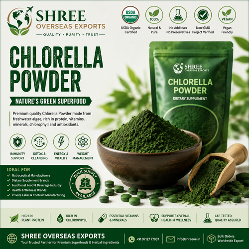 Private Label Chlorella Powder Manufacturer Complete Guide to Premium Bulk Chlorella Powder for Glob.png