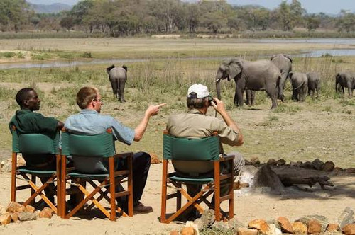 Explore Tanzania's Wildlife Wonders on a Memorable Day Safari.jpg