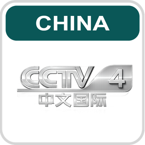CCTV4.png