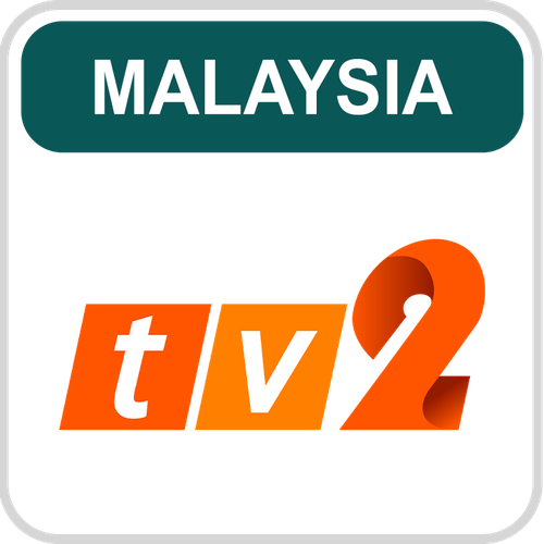 RTM TV2.png