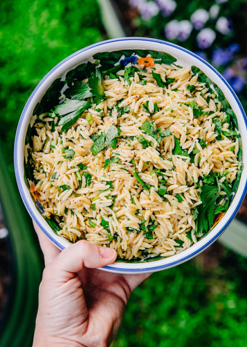 lemon herb orzo recipe vegan vegetarian easy 5 scaled.jpg