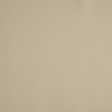 1010BEG swatch