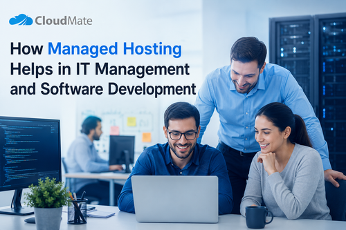 it management.png