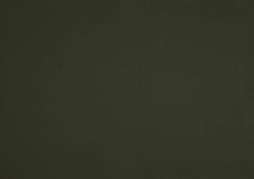 1010GRN swatch.jpg