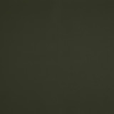 1010GRN swatch