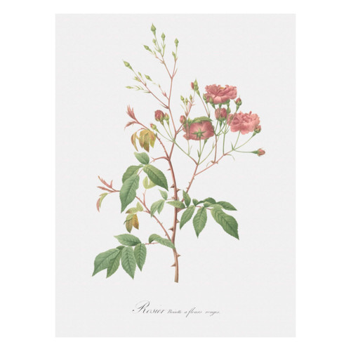 Untitled design (40).jpg