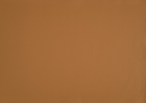 1010RNG swatch.jpg