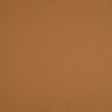 1010RNG swatch